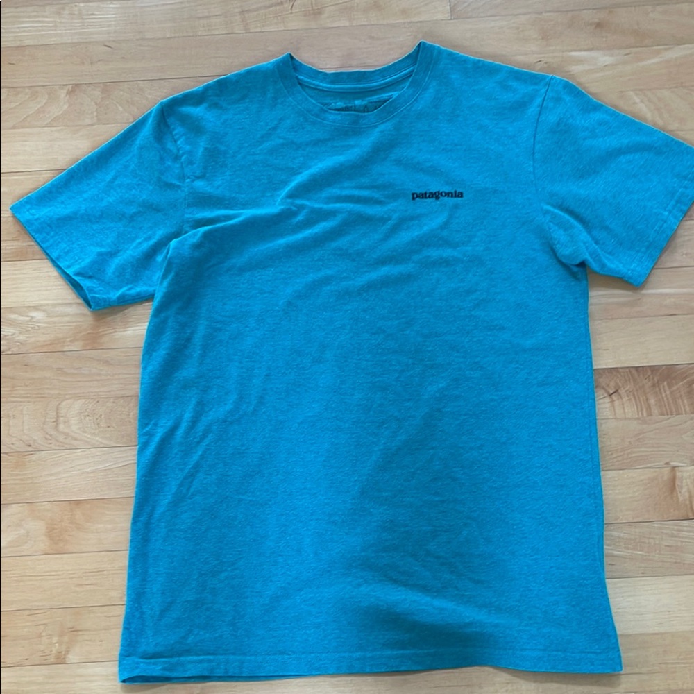 Patagonia Green Short Sleeve Tee